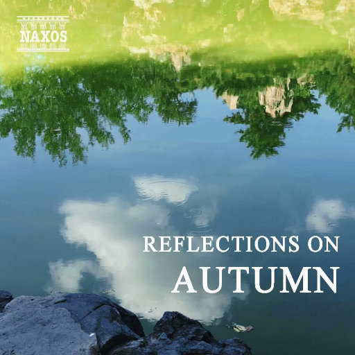 無碼破解壊版无码
